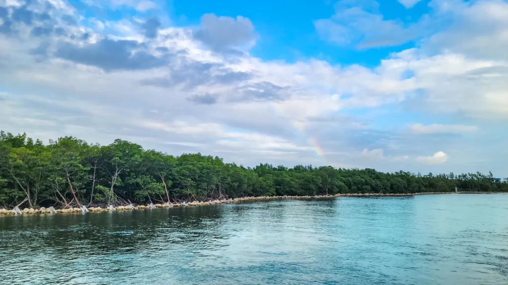 A faint rainbow over turquoise water lined with short trees.